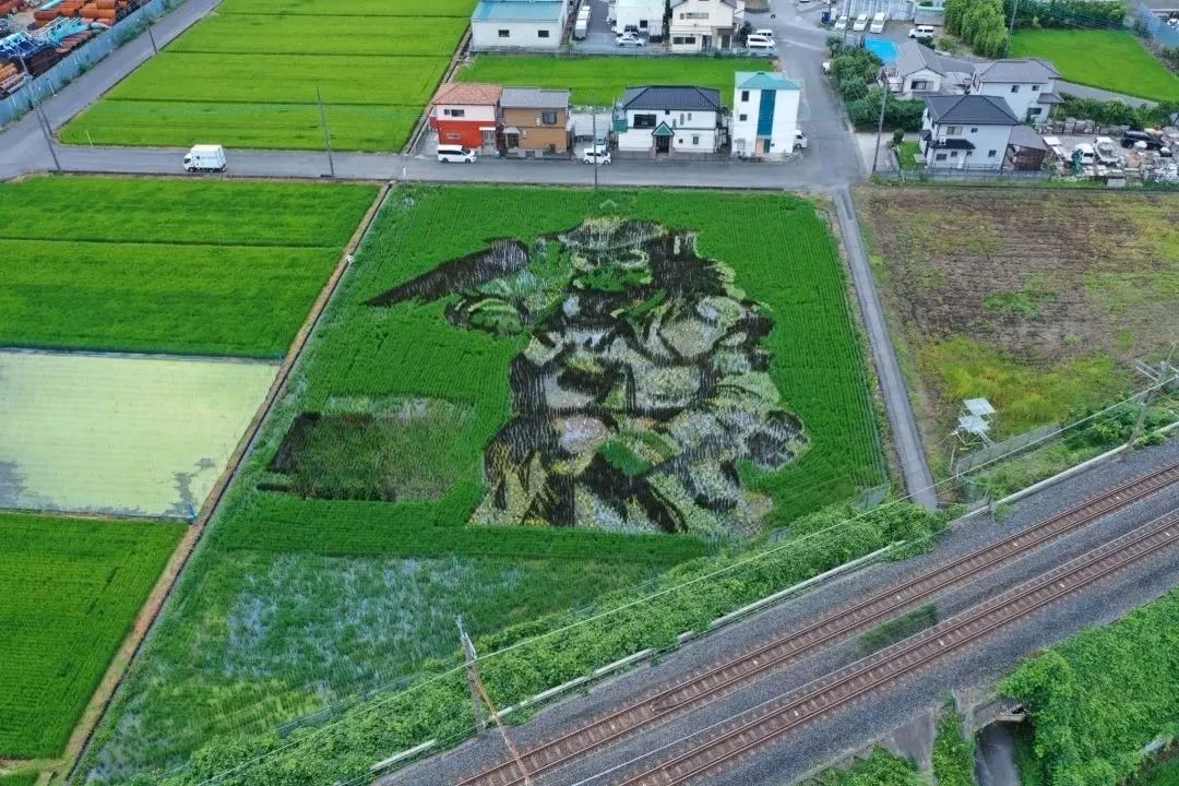 the-apex-legends-rice-paddy-art-that-still-haunts-me-in-the-best-way-image-1
